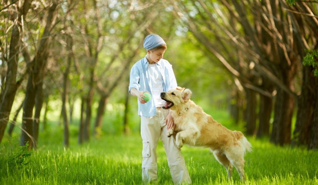 boy playing with his dog