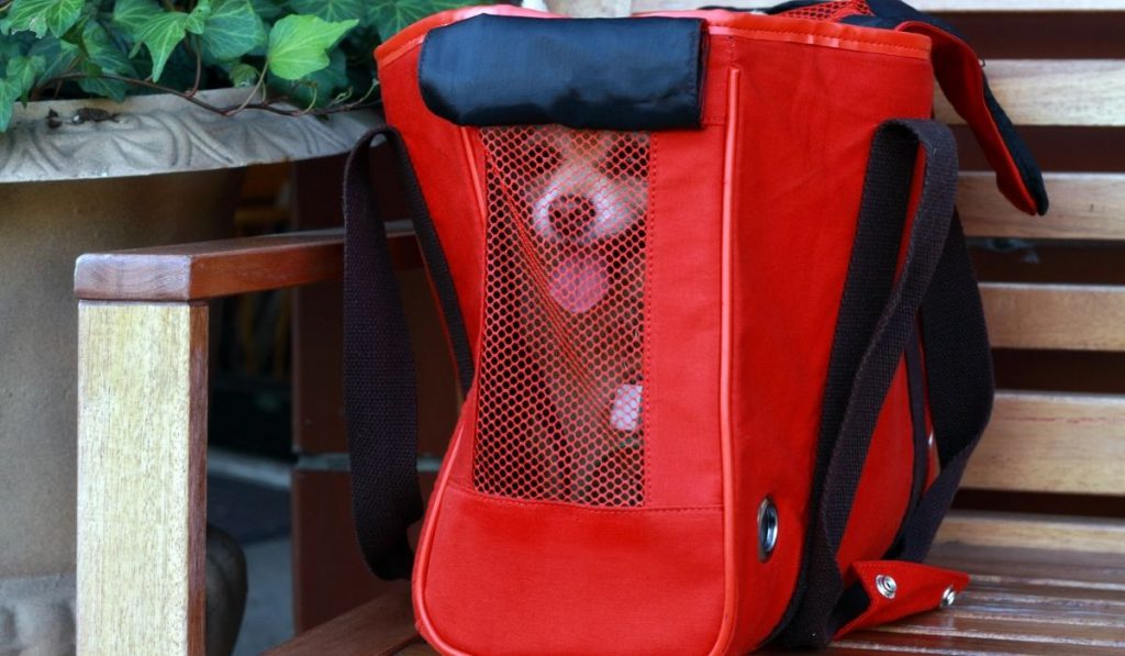 dog inside a travelling bag