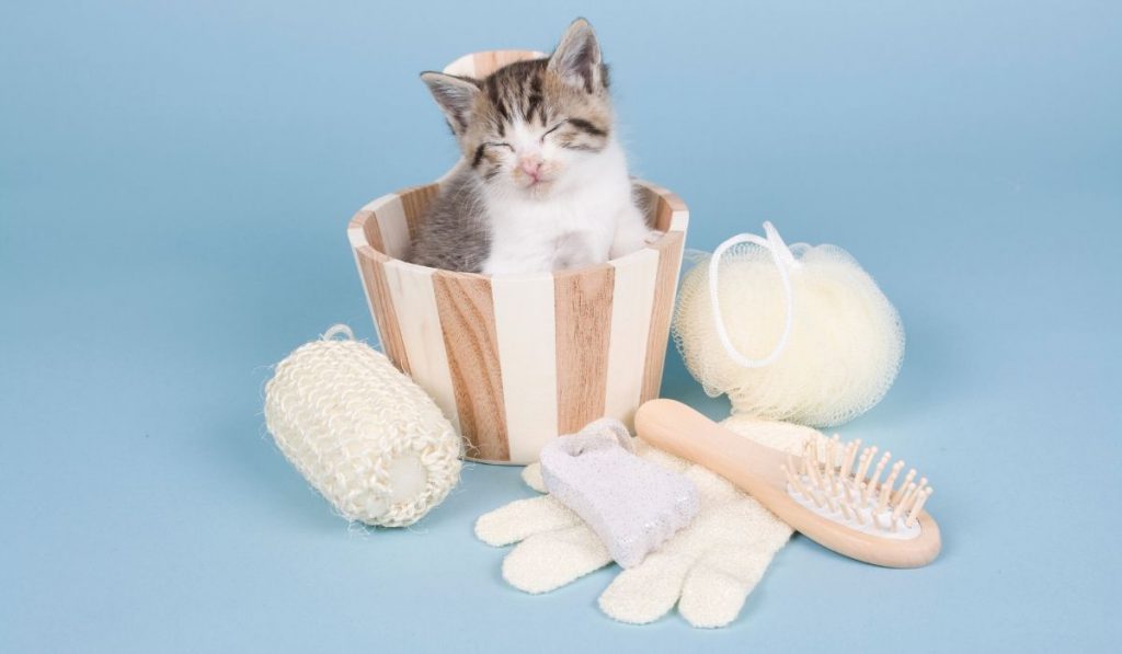 sleeping cat inside a tub with bath accessories